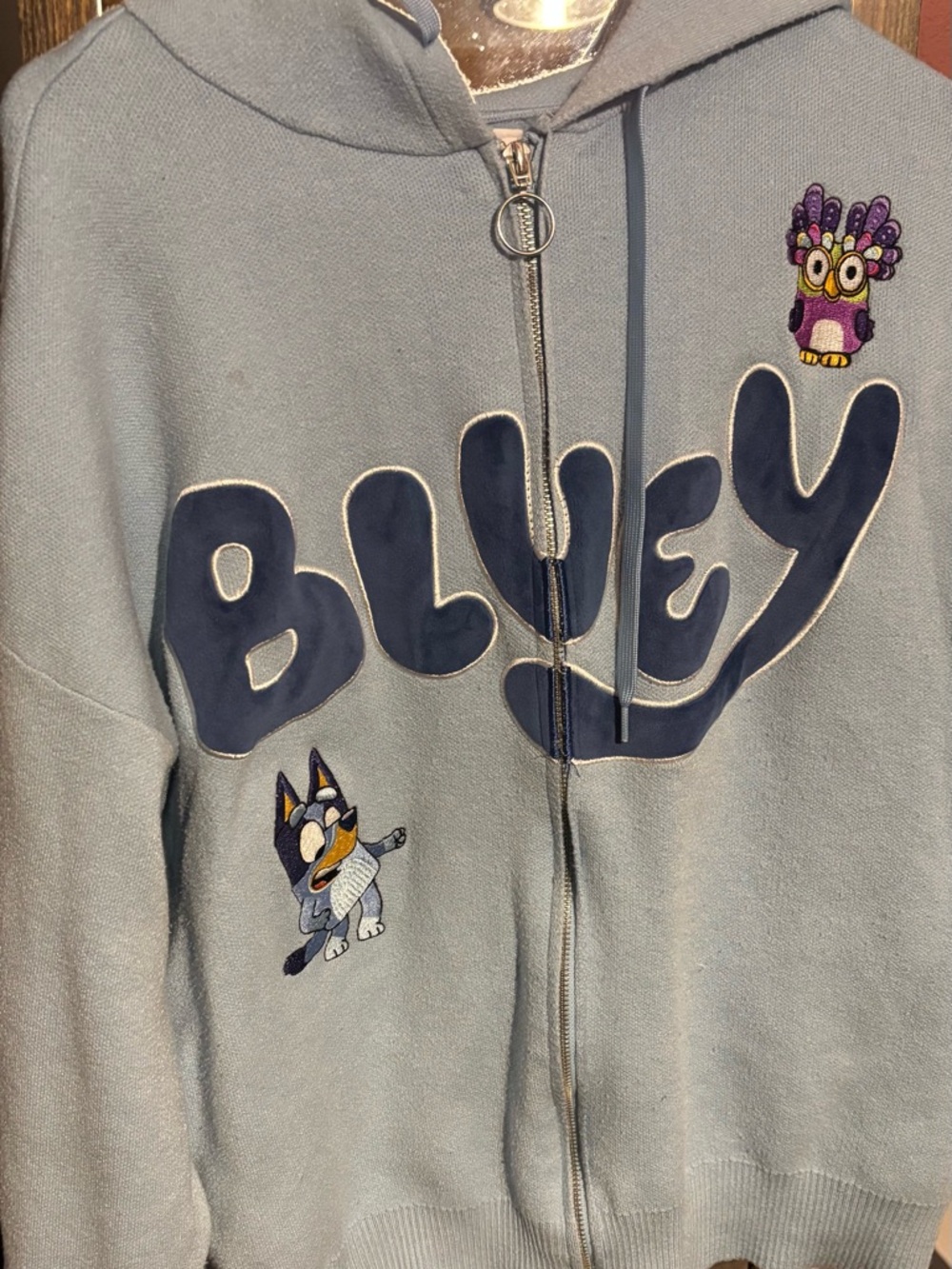 Bluey Zip-Up Hoodie with Character Appliqués